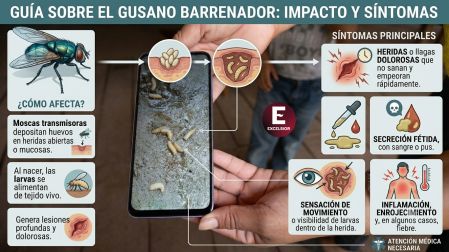 EU confirma dos casos más de gusano barrenador en Texas; ¿cuántos van?