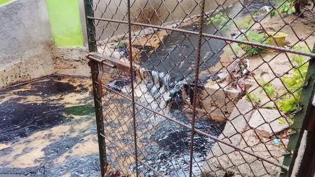 Derrame de combustóleo pesado invade colonias del puerto de Salina Cruz, Oaxaca