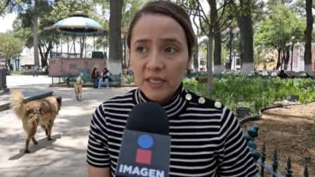 Juez de Tlaxcala ordena regresar a Chile a menor y a su madre, víctima de violencia